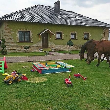 Agroturystyka Klekusiowo Boleslawiec  Dış mekan fotoğraf