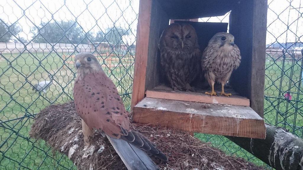 Agroturystyka Klekusiowo Boleslawiec  Dış mekan fotoğraf