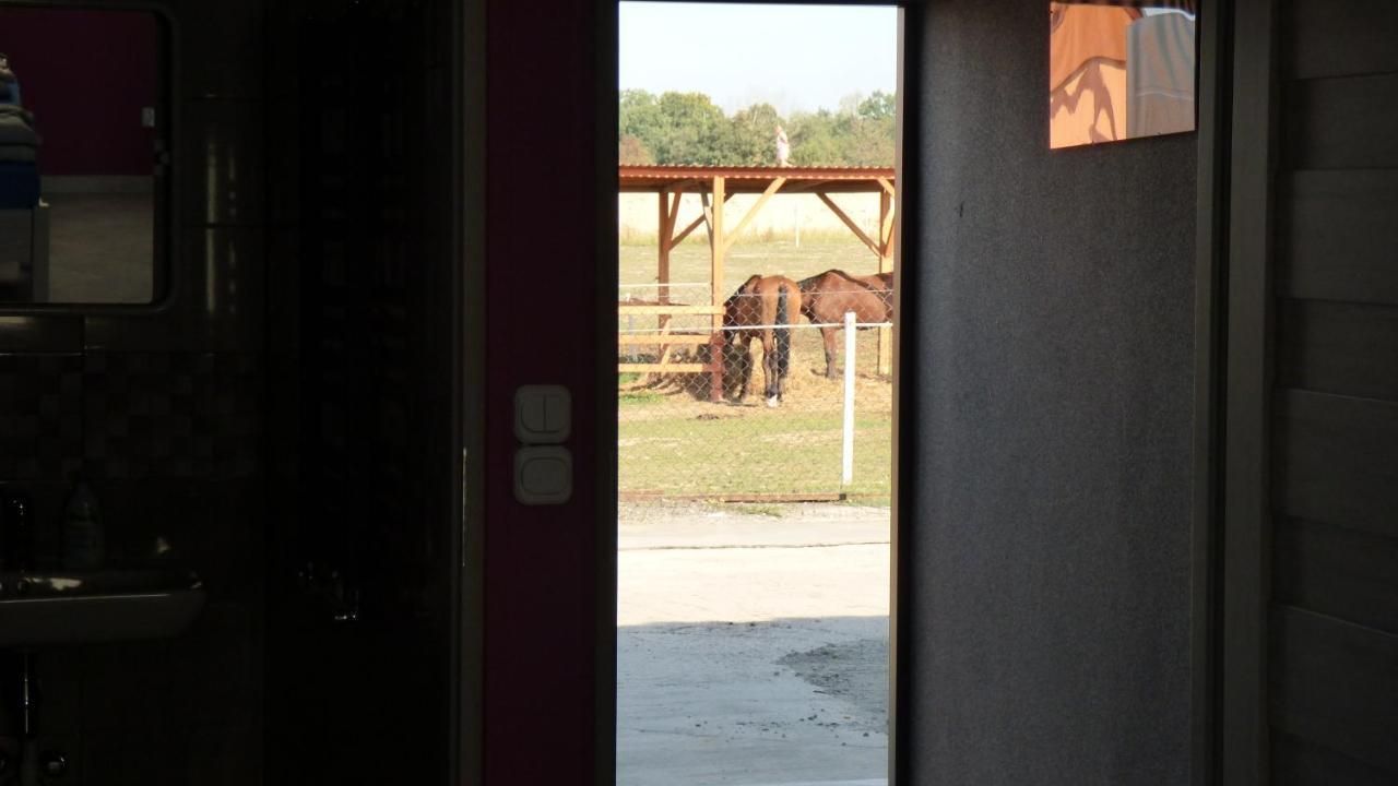 Agroturystyka Klekusiowo Boleslawiec  Dış mekan fotoğraf