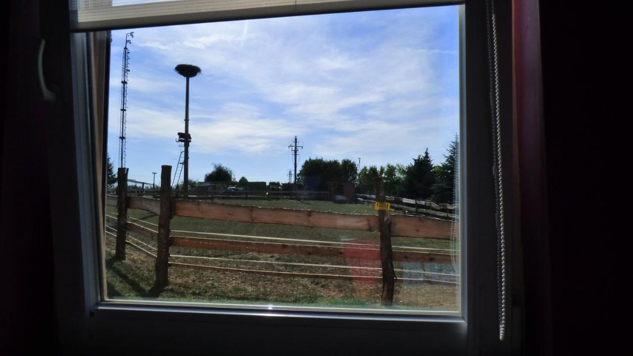 Agroturystyka Klekusiowo Boleslawiec  Dış mekan fotoğraf